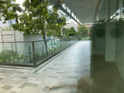 NEWest (D5), Retail #224361791